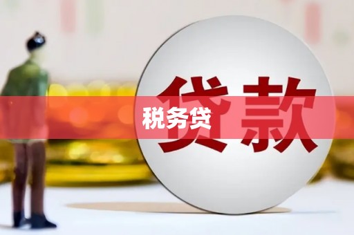 昌江税务贷