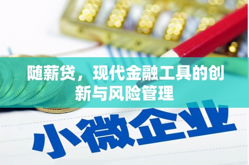 昌江随薪贷，现代金融工具的创新与风险管理