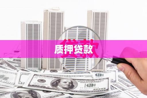昌江质押贷款