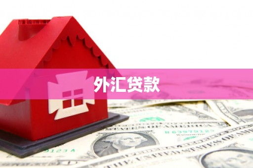 昌江外汇贷款