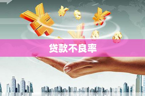 昌江贷款不良率
