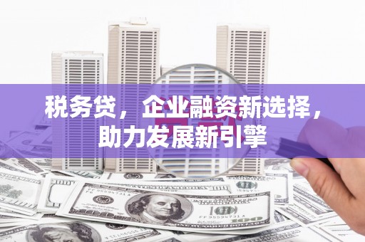 昌江税务贷，企业融资新选择，助力发展新引擎