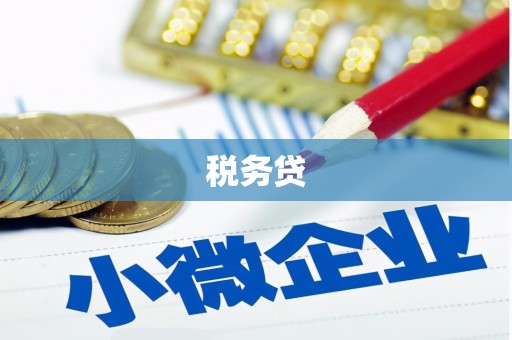 昌江税务贷