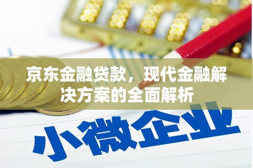 昌江京东金融贷款，现代金融解决方案的全面解析