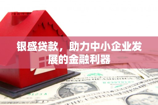 昌江银盛贷款，助力中小企业发展的金融利器
