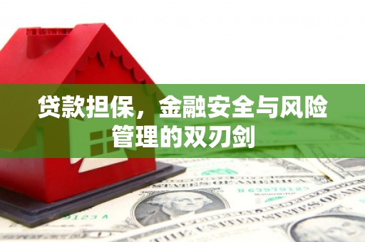 昌江贷款担保，金融安全与风险管理的双刃剑