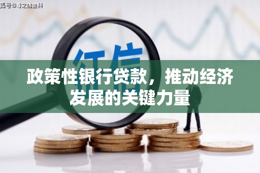 昌江政策性银行贷款，推动经济发展的关键力量