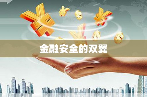 昌江金融安全的双翼