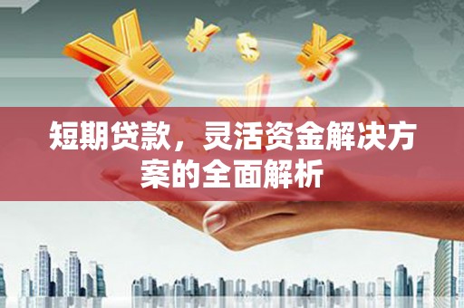 昌江短期贷款，灵活资金解决方案的全面解析