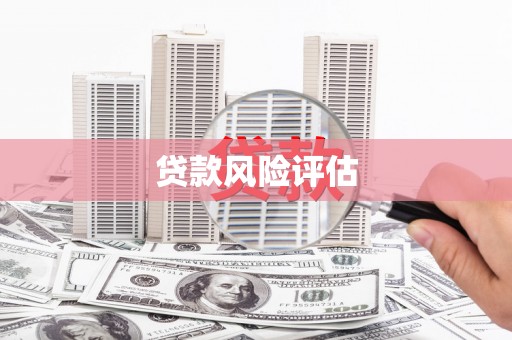 昌江贷款风险评估