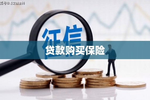 昌江贷款购买保险
