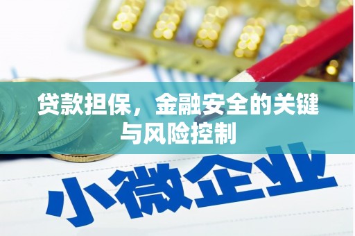 昌江贷款担保，金融安全的关键与风险控制