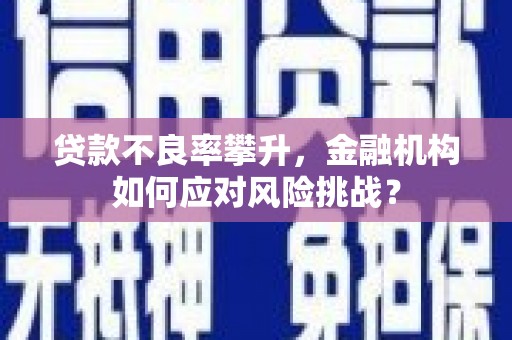昌江贷款不良率攀升，金融机构如何应对风险挑战？