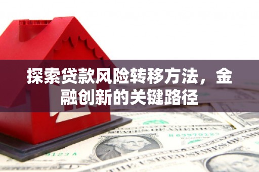昌江探索贷款风险转移方法，金融创新的关键路径