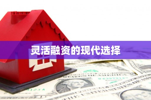 昌江灵活融资的现代选择