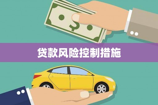 昌江贷款风险控制措施