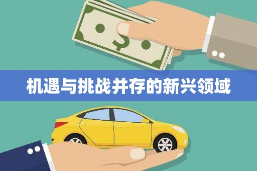 昌江机遇与挑战并存的新兴领域