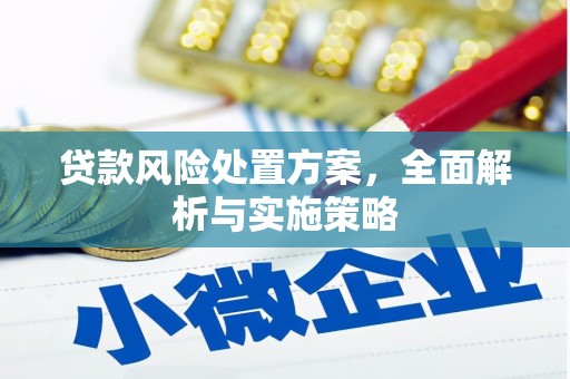 昌江贷款风险处置方案，全面解析与实施策略