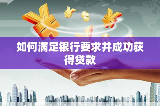 昌江如何满足银行要求并成功获得贷款